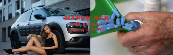 стаф Киренск