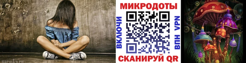 Галлюциногенные грибы Psilocybine cubensis  Купить  Дмитриев 